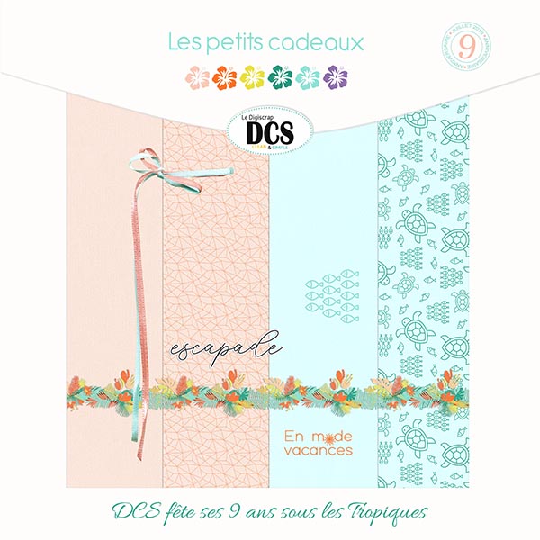 Les MINI-KITS - Page 3 Pv_cad17