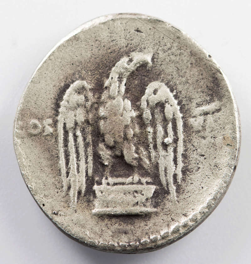 Denarius Vespasianus Fake ou Pas ? Vespas11