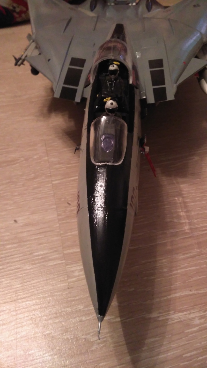 Tamyia Grumman F-14A Tomcat "Black Knights" 1/32 Img_2023