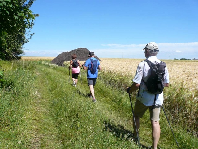Tous en Seine… d'Amfreville à Senneville Sennev20