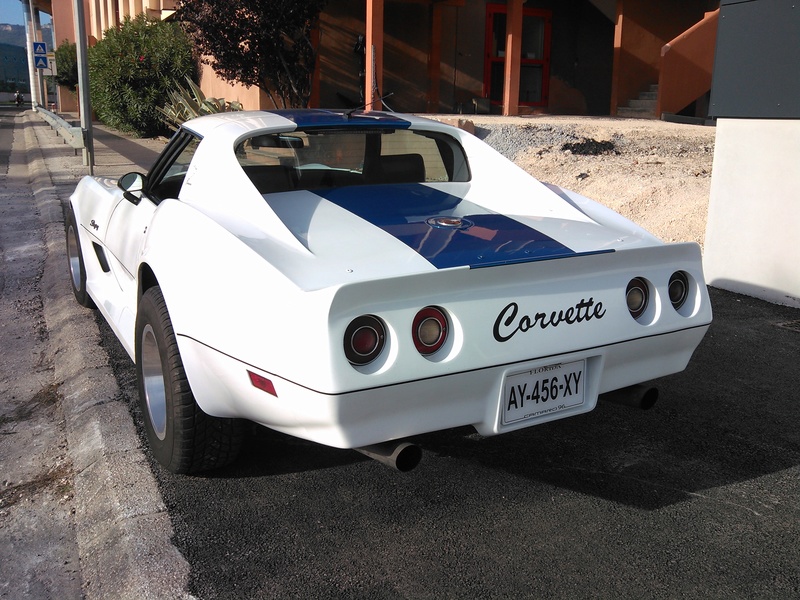 Cartoon Corvette C3... Best of !!!! - Page 7 Img_2011