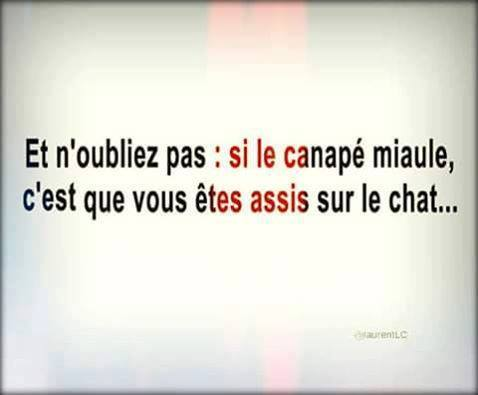 Mort de rire — parce que j'ai le sens de l'humour ! - Page 28 13872911