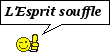 reparation garde main voilé 11510