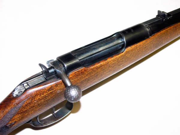 Un Steyr M95 avec certains attributs "effacés" Chasse11