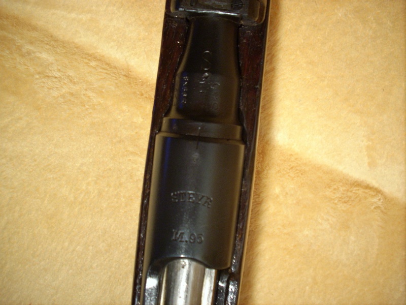 Un Steyr M95 avec certains attributs "effacés" Steyr_12