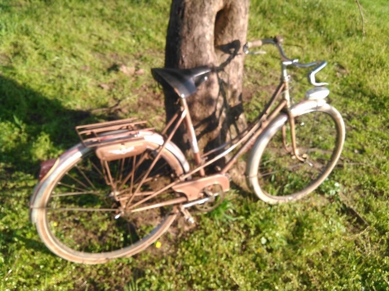 bicyclette motoconfort années 50/60 Kimg0055