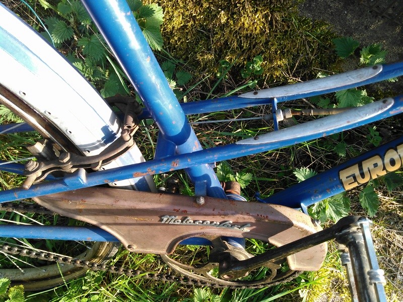 VÉLO DAME MOTOCONFORT ANNÉES 50 Kimg0069