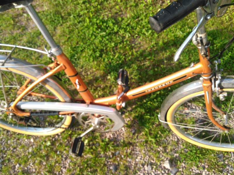 Pliant Peugeot NS Kimg0155