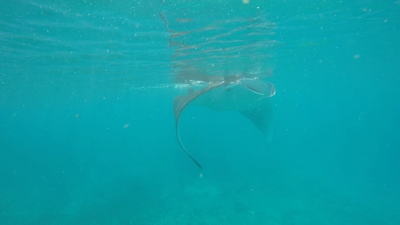 Mayotte Img_2315