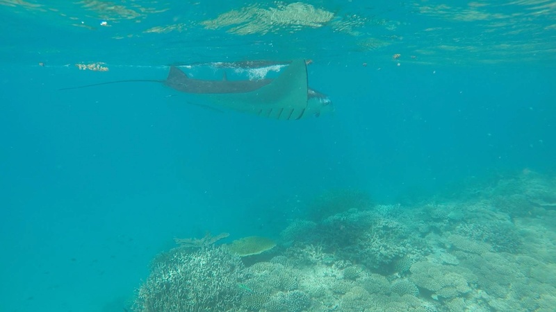 Mayotte Img_2316