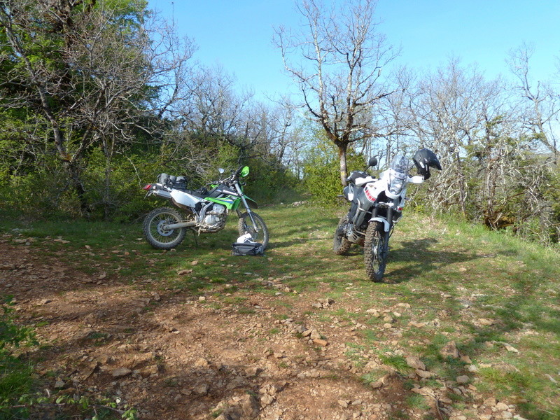 Sortie "gorges de l' Aveyron" - Page 3 2017-014