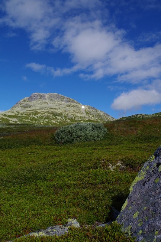 Norvège 2016 - retour en image sur notre première grande virée Imgp3312