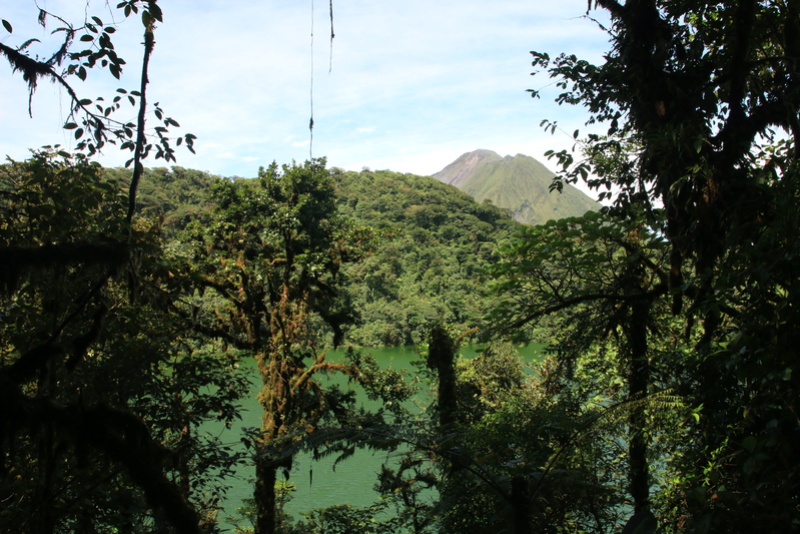 Nature au Costa Rica suite Img_6812