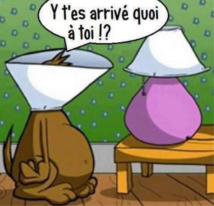 Humour en image du Forum Passion-Harley  ... - Page 10 Humour21