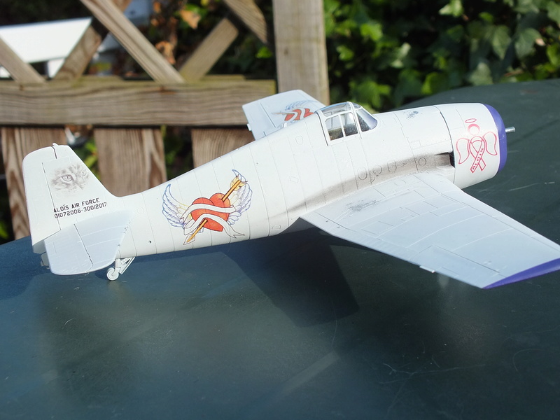 Hellcat 1/48 Eduard (réf: 8223) en souvenir d'Aloïs. - Page 3 Dscf1252