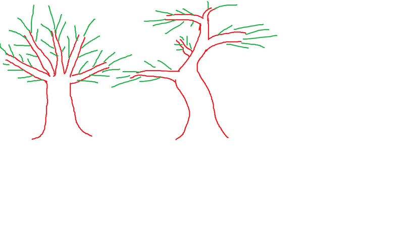 Ficus retusa con radici aeree - Pagina 5 Scopav10