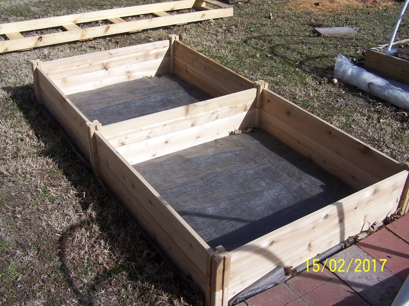 New compost bin and 4x8 cedar bed Box_2_10