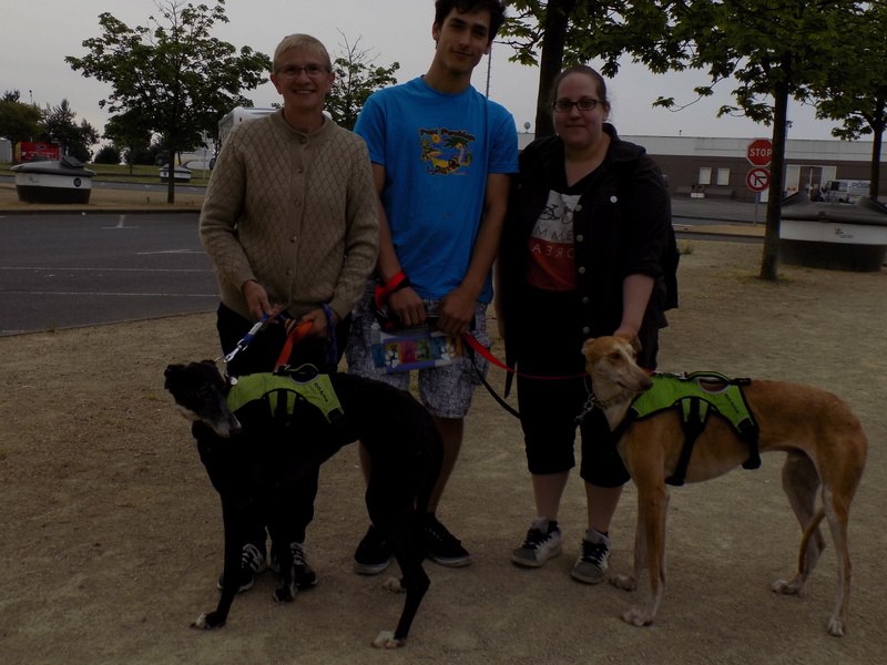 Alcahueta, galga noire, Adoptée - Page 3 Dscn2414