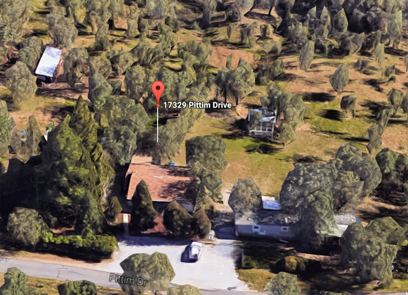 Bird's Eye View of Your Garden Birdse10