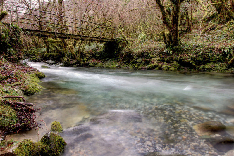 Concours photo (rétrospective 2016)  Img_5910