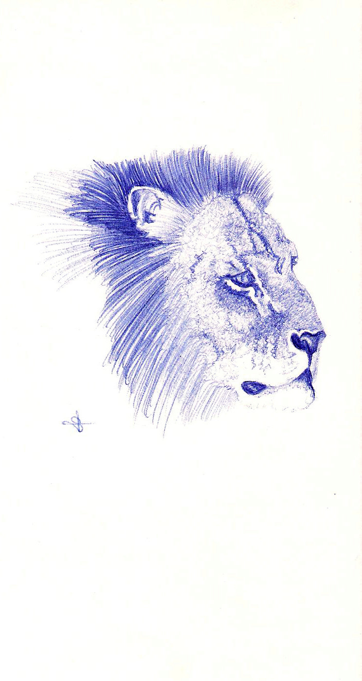[Thème permanent] nos amis les bêtes - Page 4 Lion10