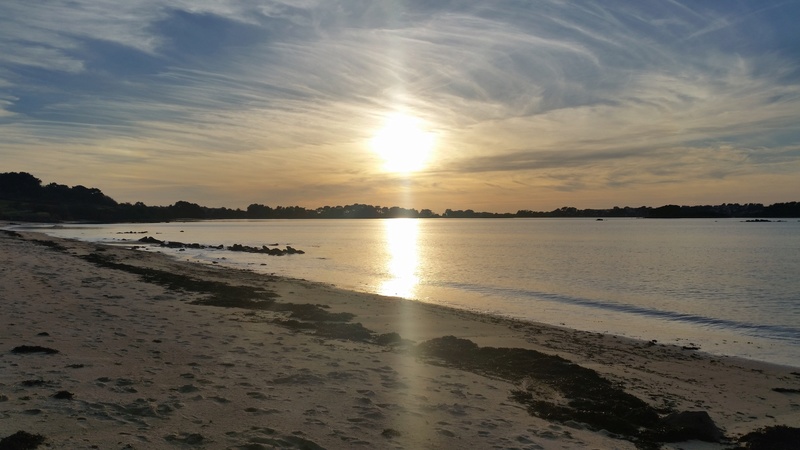 Bretagne et sa nature 20170311