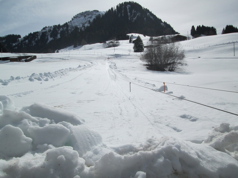 Skilift école (Pony lift) de la Forclaz VD Suisse Img_1940