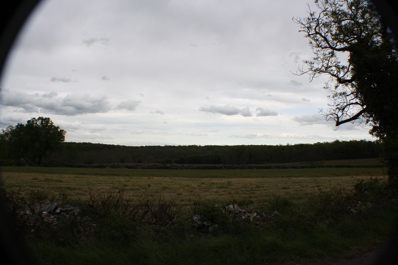 Balade en Quercy Img_1311