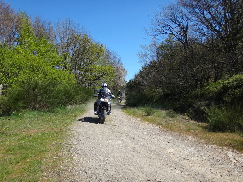 Re: Trail & Wine /22 Avril 2017 Inscriptions !!!! - Page 4 Dsc01017