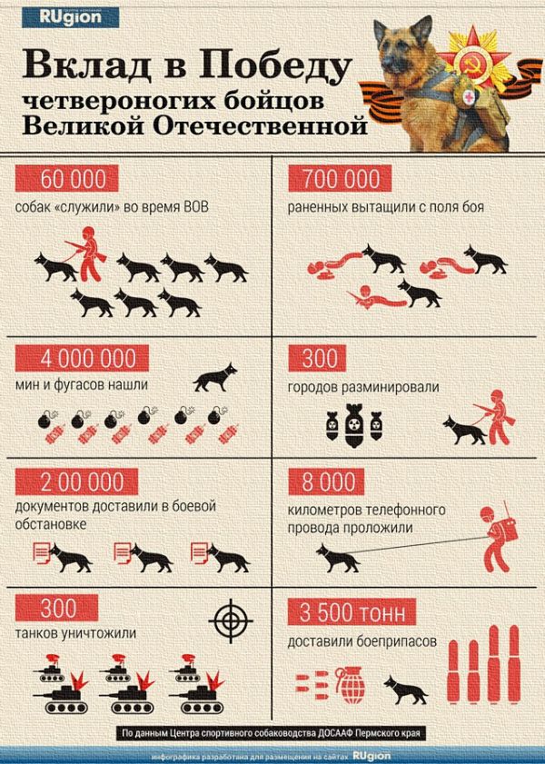 С ПРАЗДНИКОМ ВЕЛИКОЙ ПОБЕДЫ! Womfdk10