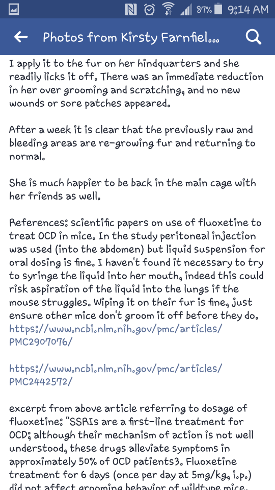 Interesting Info on Treatment for OCD Scratching Screen13