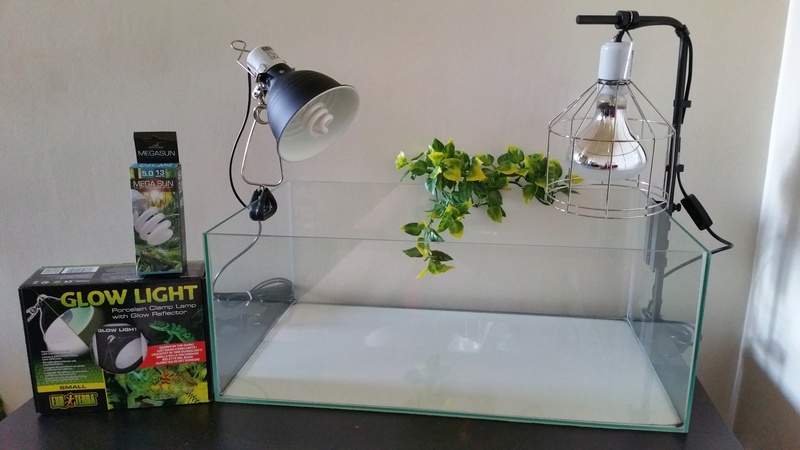 Je vends terrarium, supports, lampes... Terrar12