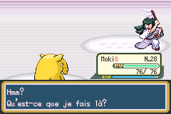 [Vert Feuille] Le Scrunlocke - Page 3 Pokem991