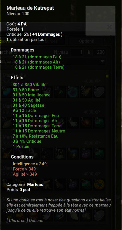 Nouveaux item 2.42 Dofus-16