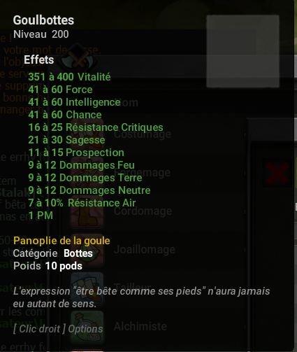 Nouveaux item 2.42 Dofus-20