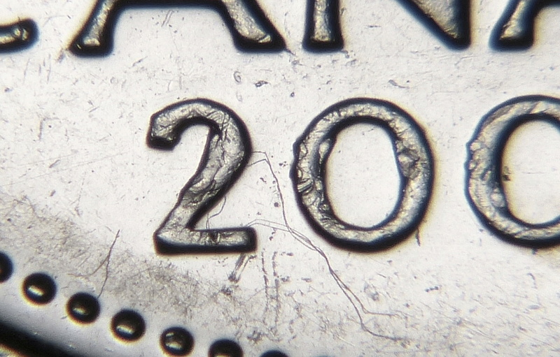 2001P - Éclats de Coin sur Queue & Bûche (Die Chip on Tail & Wood) Ca_0_404