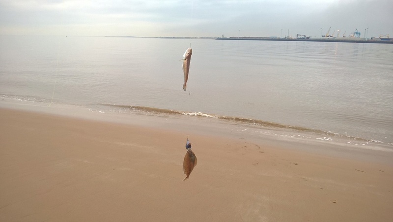 Perch Rock 11/03/2017 Wp_20124