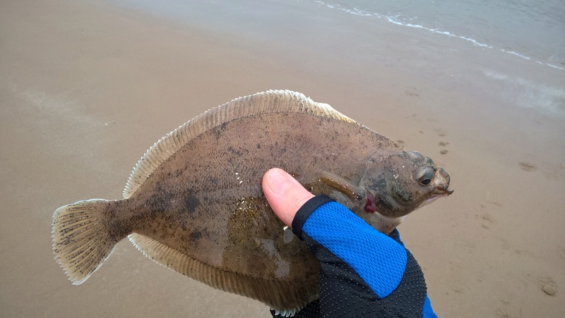 Perch Rock 11/03/2017 Wp_20125