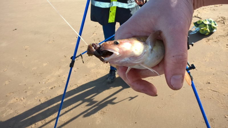 Perch Rock 25th and 26th March Wp_20129