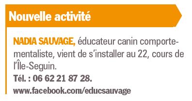 Educateur canin comportementaliste Clipb815