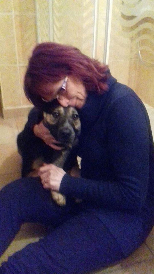 Dakota, petite puce née en avril 2016 511