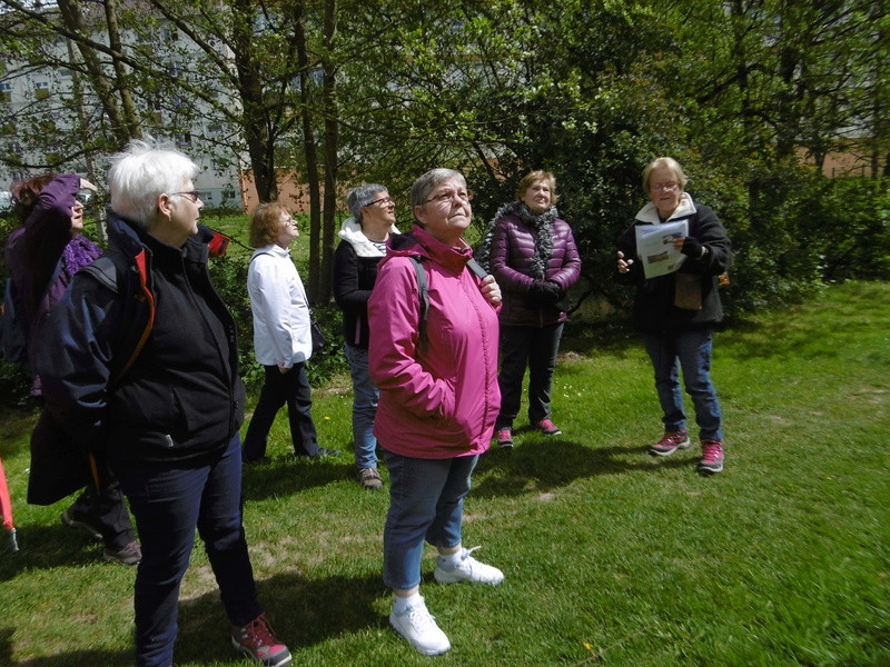 Parcours de santé : mercredi 26 avril + visite de la corderie Vallois P1000412