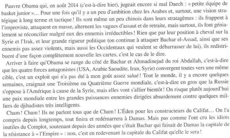 Dossier d'actualité : conflit en Syrie, articles, cartes, vidéos (& 3eme guerre mondiale?) - Page 19 Nabe10