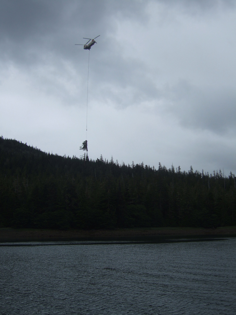 Foto dell'Alaska, ecco come fanno là per il trasporto alberi Dscf0710
