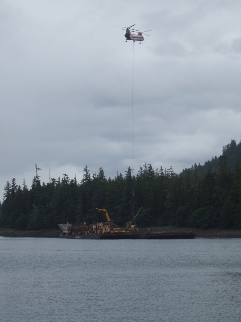 Foto dell'Alaska, ecco come fanno là per il trasporto alberi Dscf0711