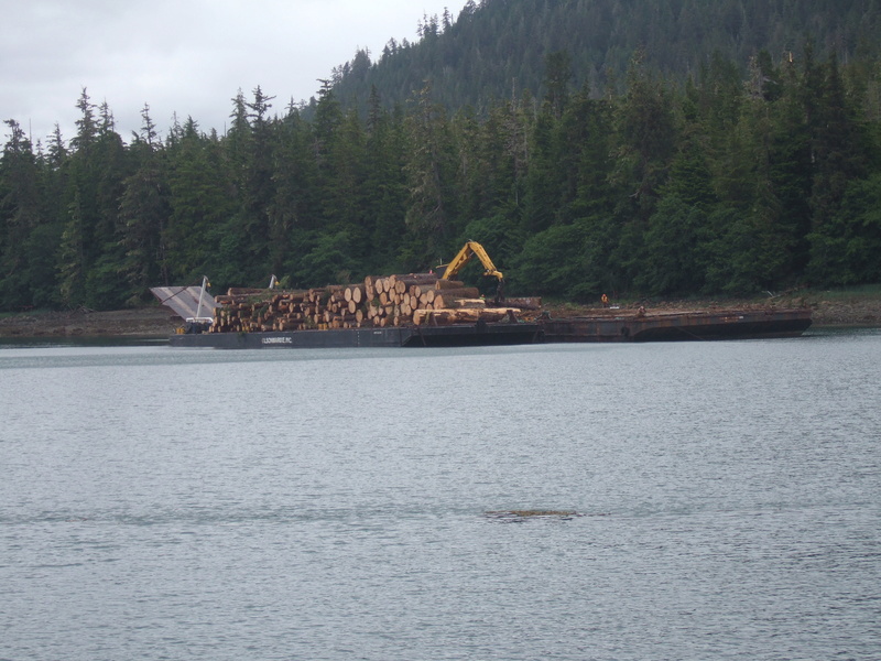 Foto dell'Alaska, ecco come fanno là per il trasporto alberi Dscf0714