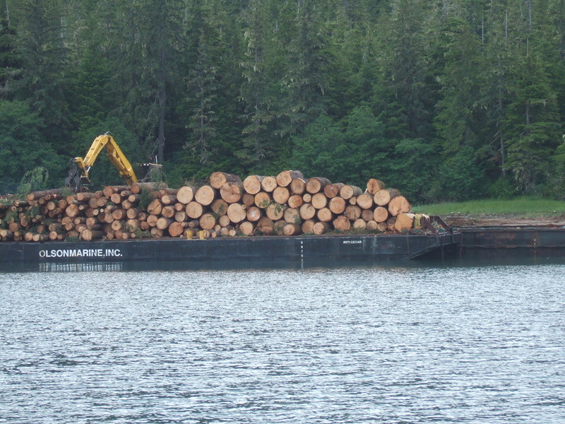 Foto dell'Alaska, ecco come fanno là per il trasporto alberi Dscf0715