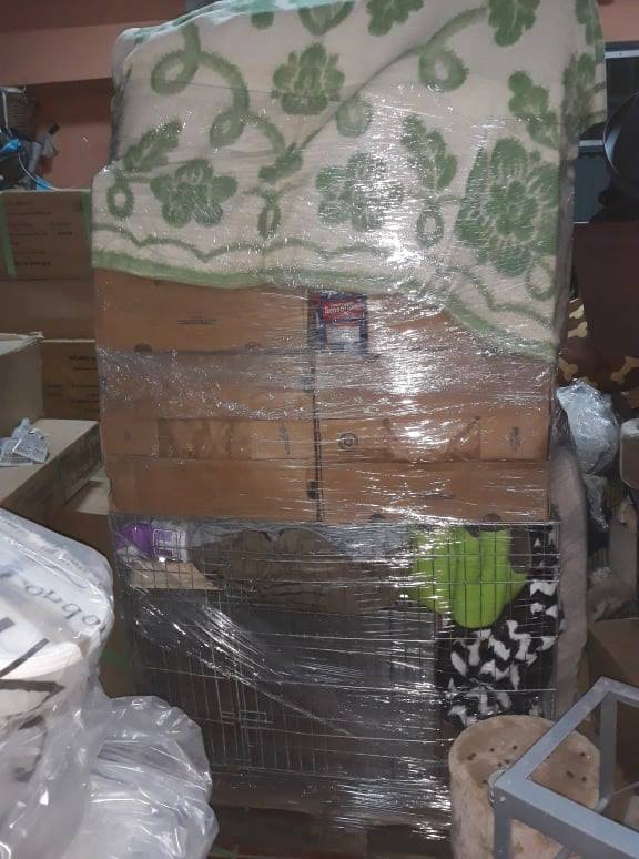 3 pallets voor cristina sánchez moreno 178