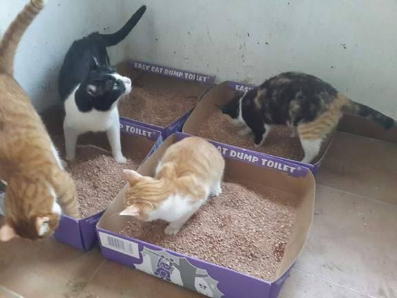 Transport aangekomen bij Santuario Refugio La Pepa 18254410