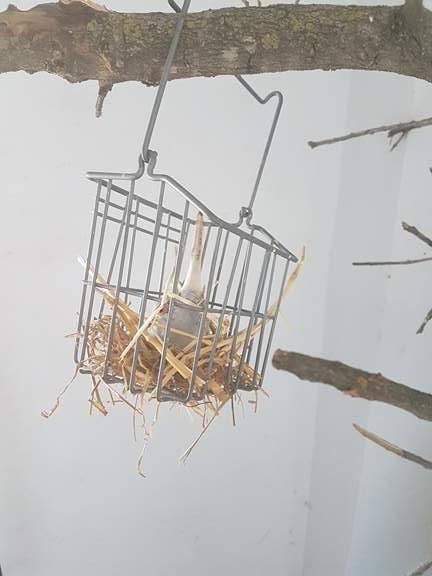 Transport aangekomen bij Santuario Refugio La Pepa 18280210